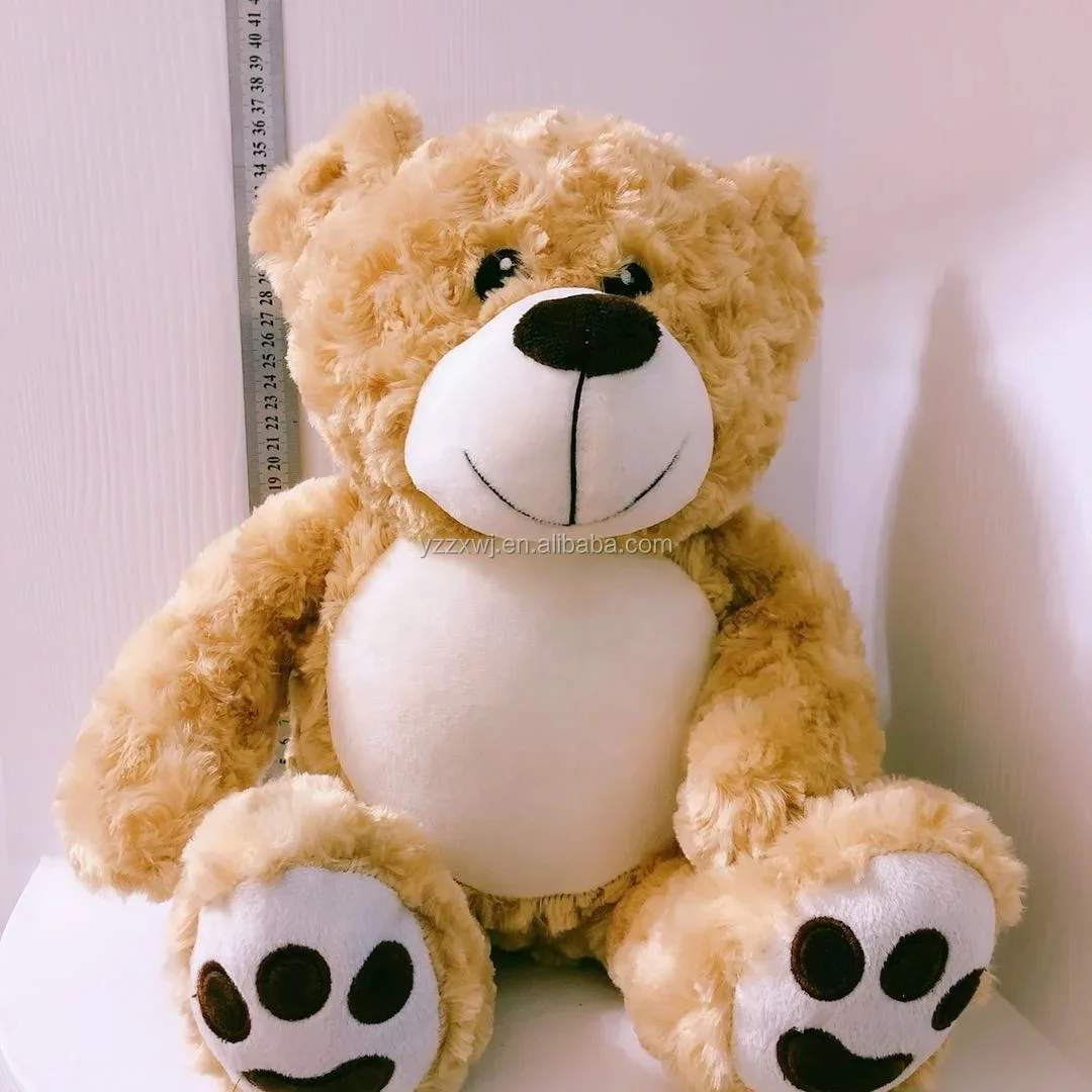 Customized Stuffed Plush Teddy Bear With Pod Customized Removable With ...