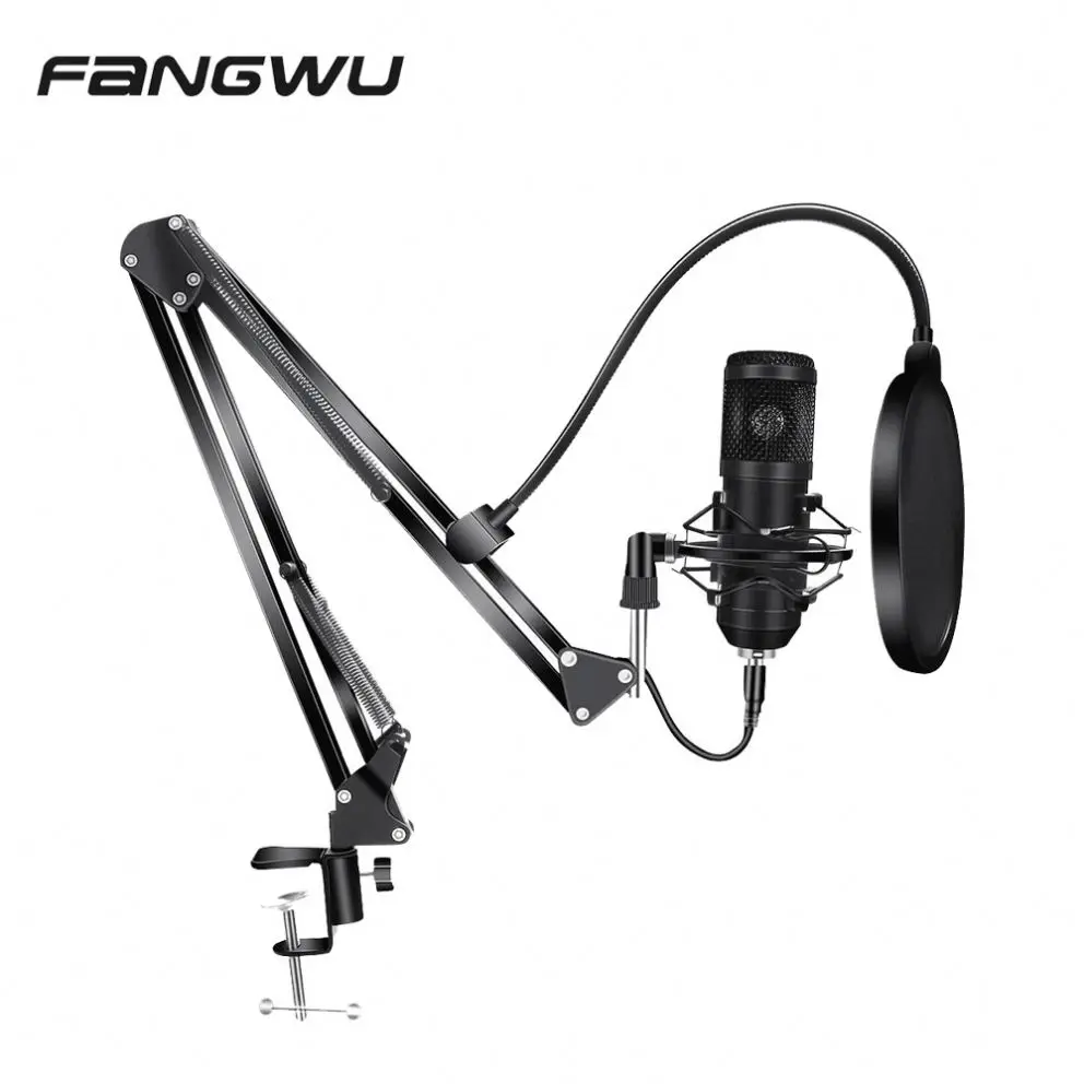 

Professional Studio Pc Wr 800 Condenser Microphone, Black/silver/custom