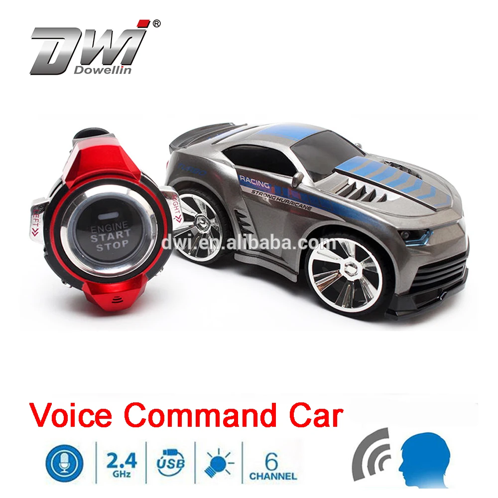 voice remote control car