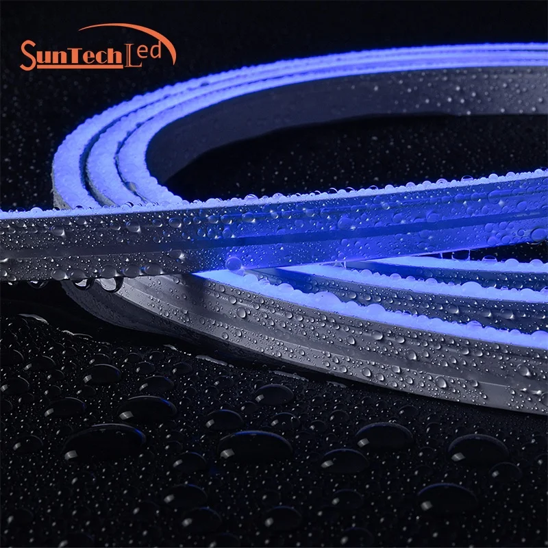 New 2020 Factory customization Wholesale Price  Ip67/IP68 1m/3m/5m/10mWaterproof 5050 Rgb casing Led Strip Light  Neon strip