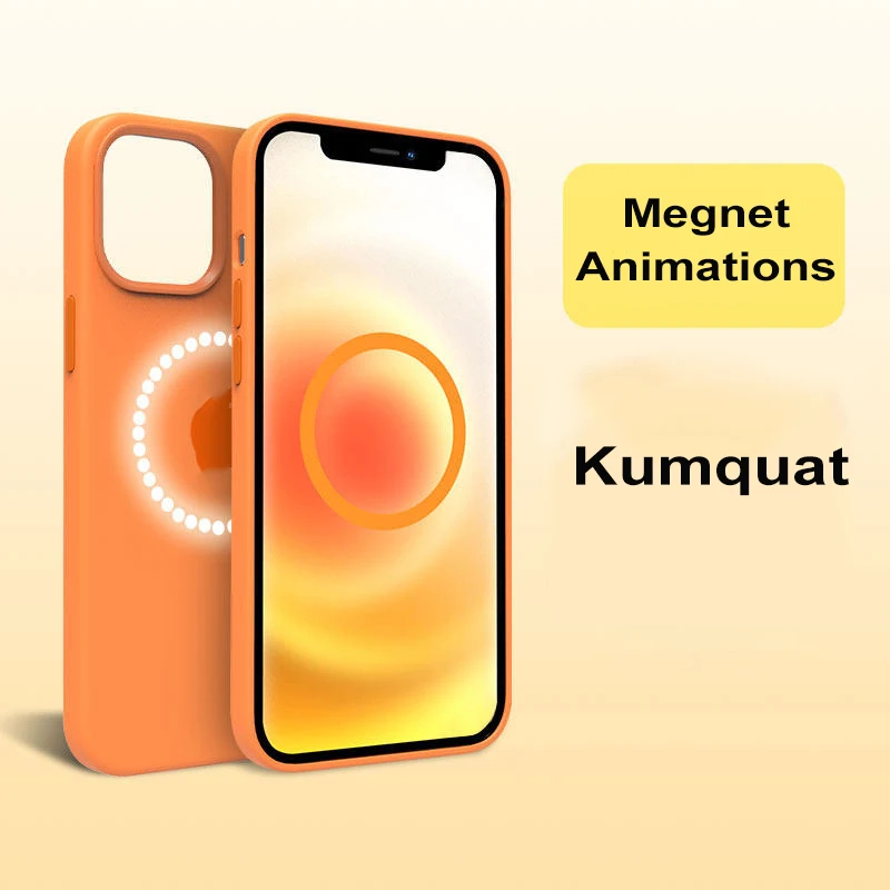 

Ebay hot sale Magnet Liquid Silicone Cellphone Case magsaf Animation silicone cases For iPhone 12 13 Pro Max phone
