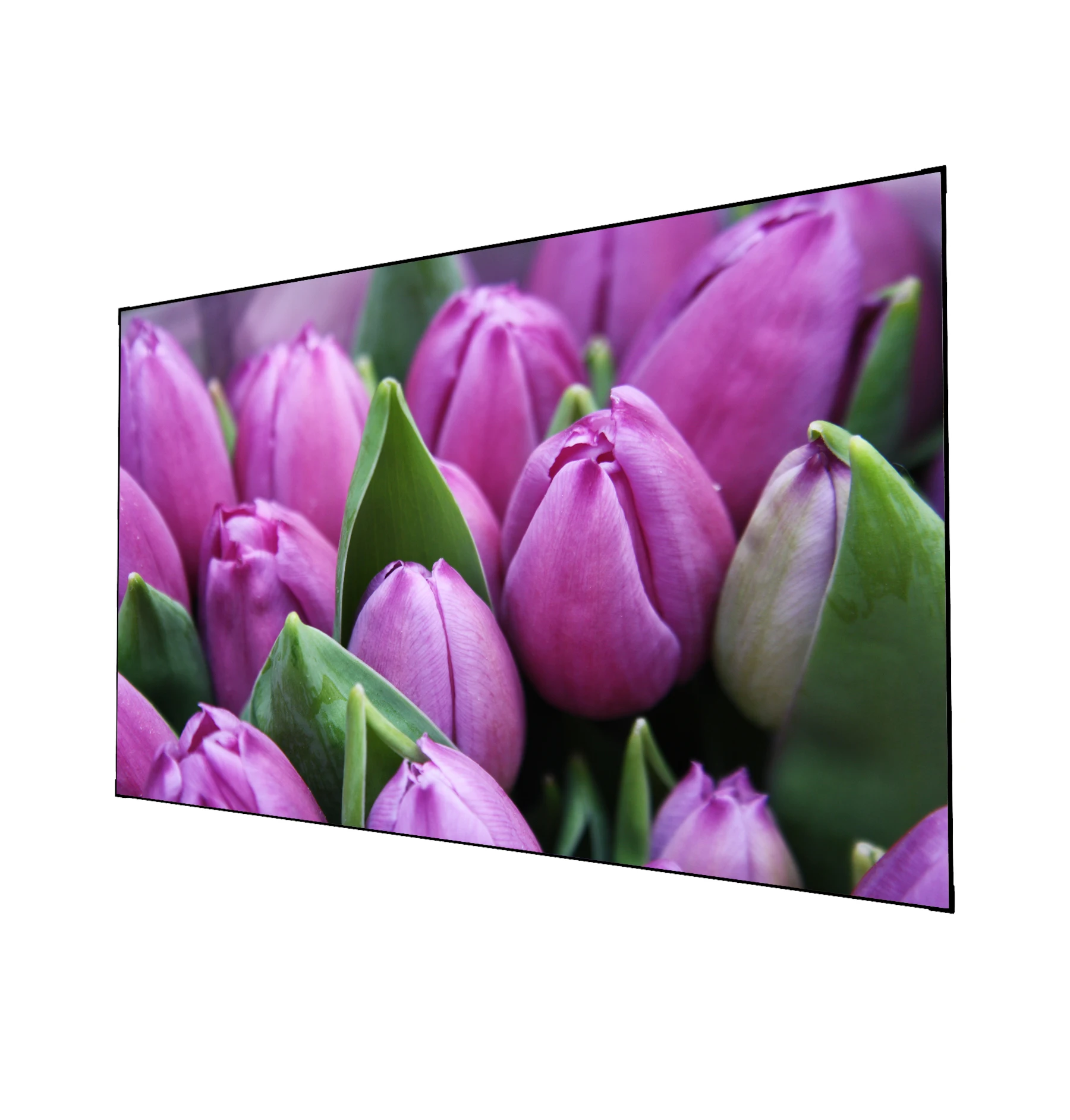 

SCREENPRO 126" 2.35:1T Prism-7mm Bezel Frame Series ALR Screen Ultra Narrow Fixed Frame Projector Screen with ALR material