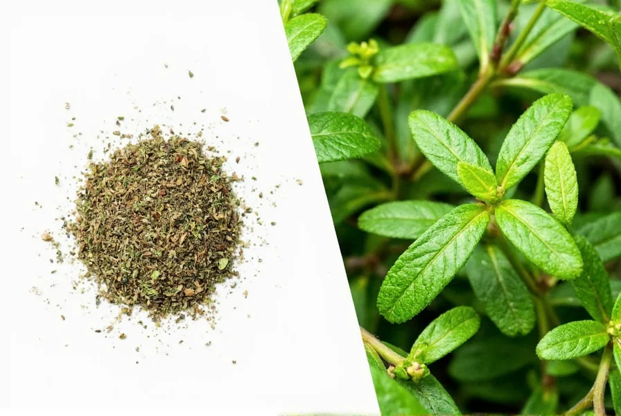 Oregano plants growing in a garden