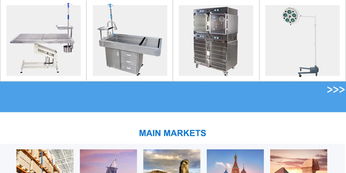 Guangzhou Scienfocus Lab Equipment Co., Ltd. Fume hood, Laminar flow