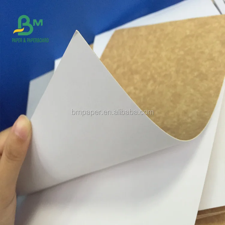 300gsm White Clay Coating Kraft Back For Lunch Box Paper Food Grade