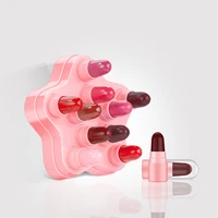 

Ready To Ship Popular Selling 10 Selected Colors Pocketable Long-lasting Mini Lipstick Set