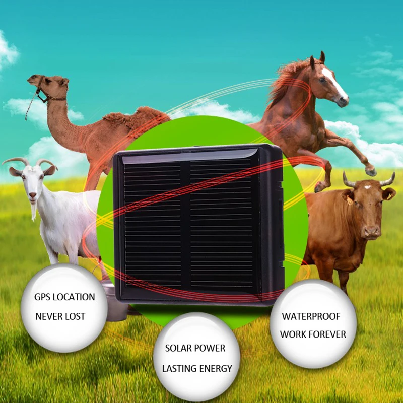 

Goat Sheep Gps Animal Cow Gps Tracker For Camel Cows Animals Horses And Animal Tracking Device Cattle Trackers Tracking, Multi