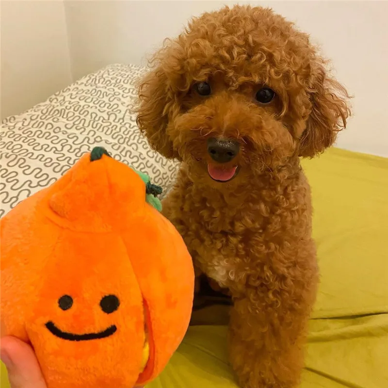 Ins Hot Style Orange Shape Hide Food Pet Toys Interactive Squeaky Sound