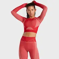 

2019 Crop Top Women Knitted Long Sleeve 2 Pieces Gym Wear Women Yoga Sports Suits