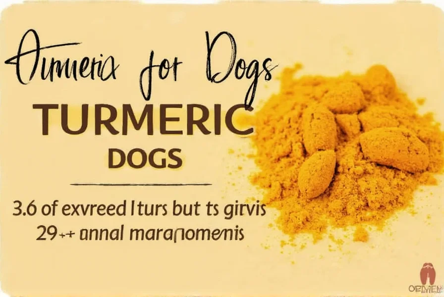 Turmeric for Dogs: Benefits, Dosage & Safety Facts