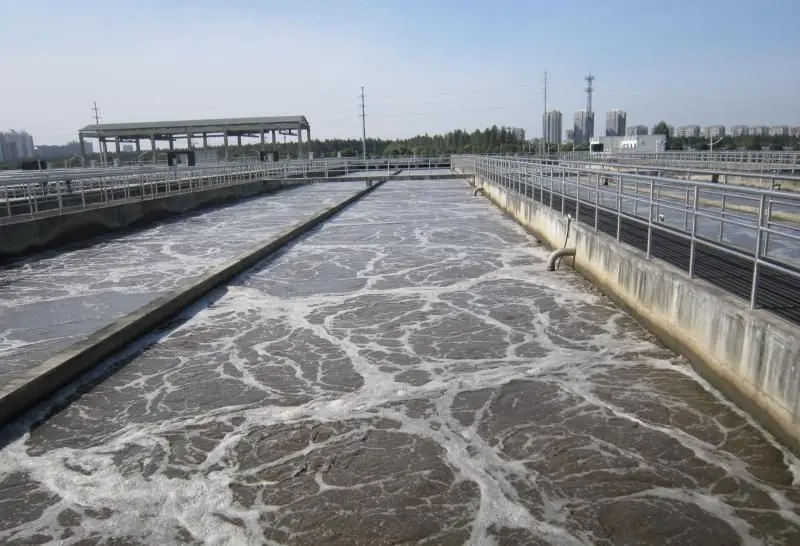 Растворенный в воде кислород проникает через тонкие стенки жабр в