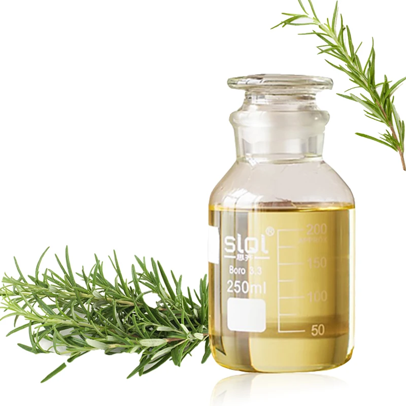 

Manufacturer Supply 100% Pure Natural Organic Rosemary Essential Oil