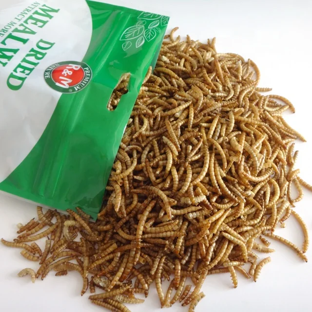 
Dried Mealworms High Protein Customised Birds Food for Fishes Reptiles in Bags 100g Factory Directly Supply 