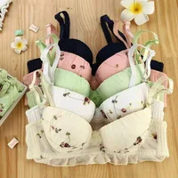 

Hot selling girls bra and panty set embroidered underwire full cup bra for women