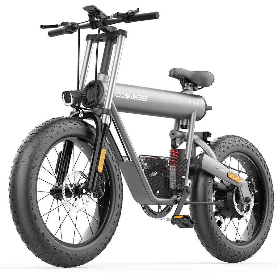 

Coswheel E-Bicycle Electric Covered Road Fat Tire Mountain Dirt City Bike E-Bike Electric Bicycle Ebike From China, Gray