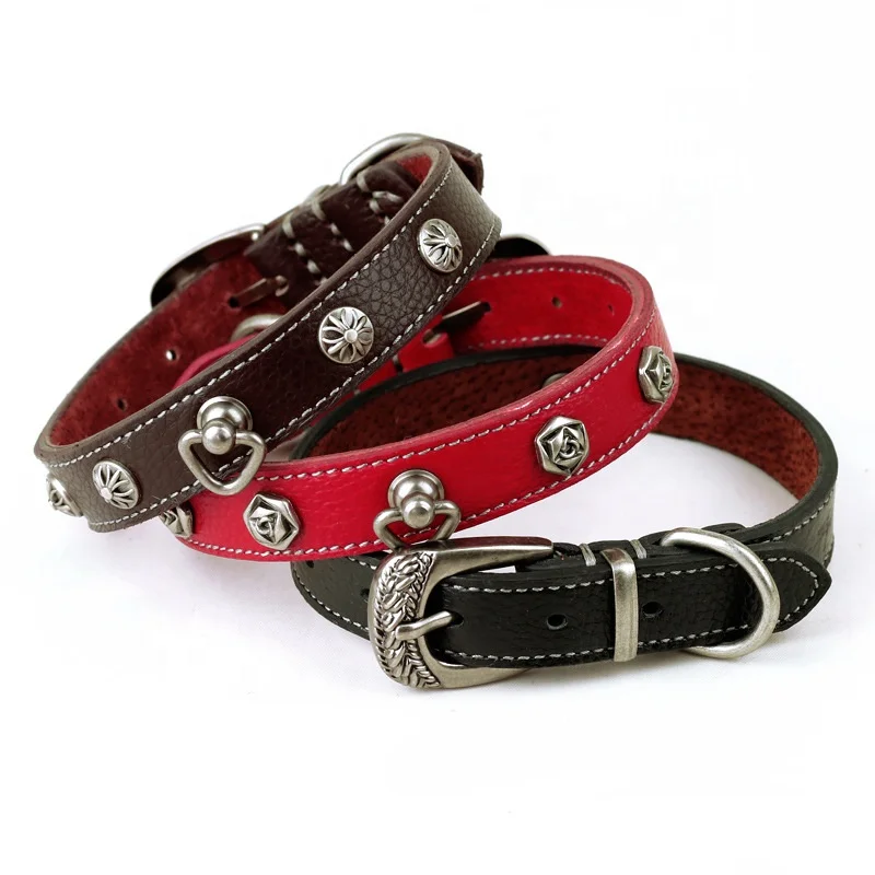 fashion dog collar