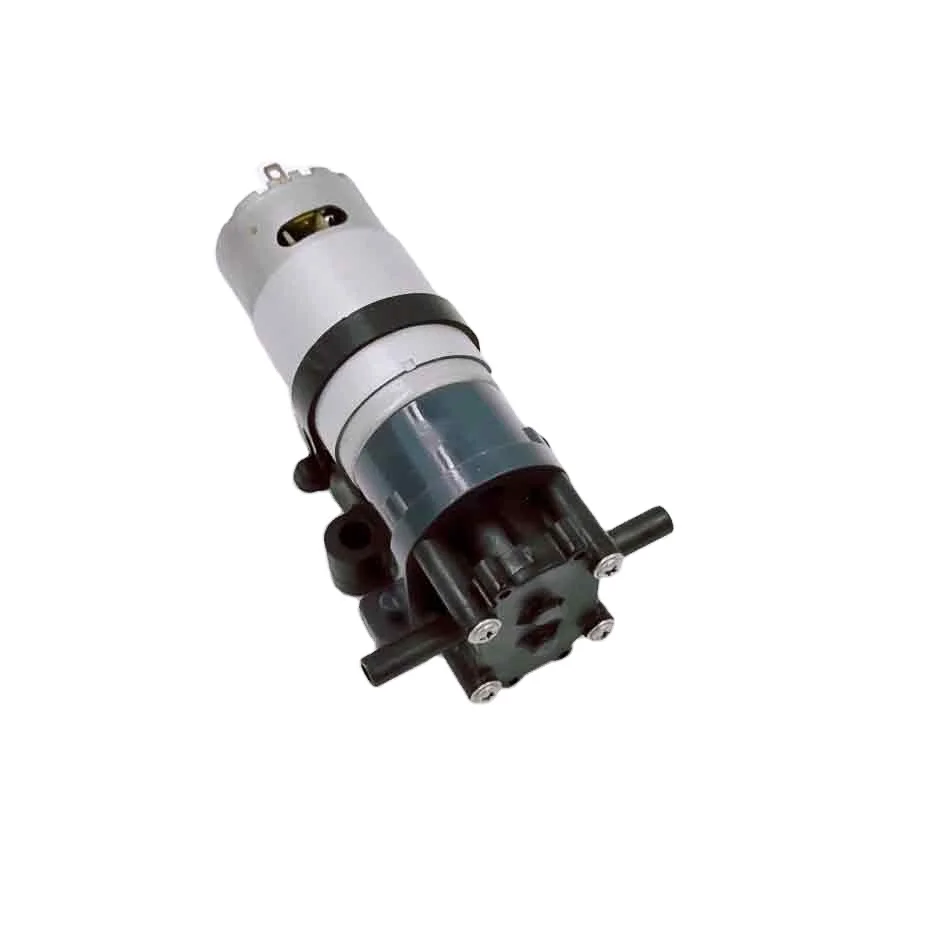 DC Brushed Motor 12V/24V Low Pressure Gear Pump for Automotive Use-Micro Small Liquid Transfer Pump
