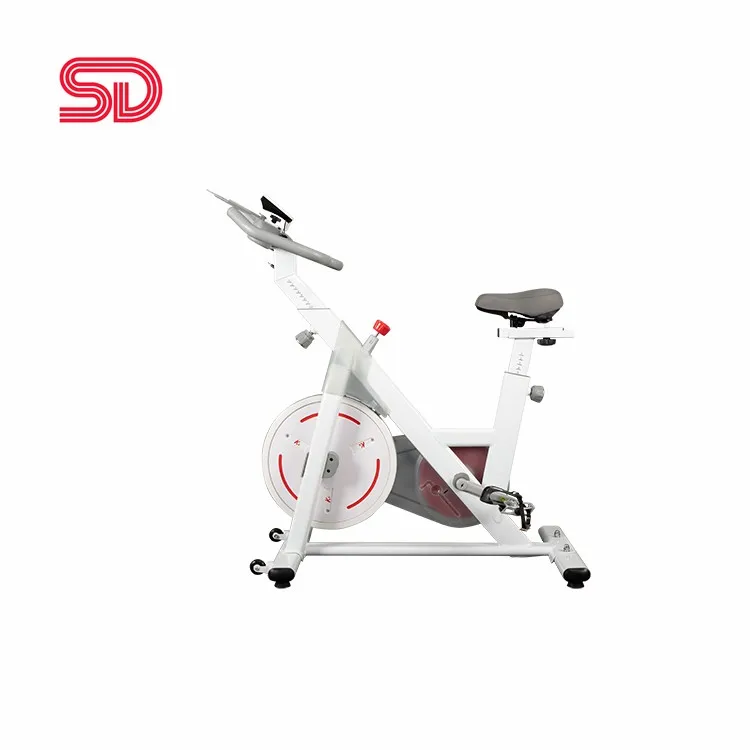 

SDS-Y 2021 new product home magnetic exercise bike for sale, White