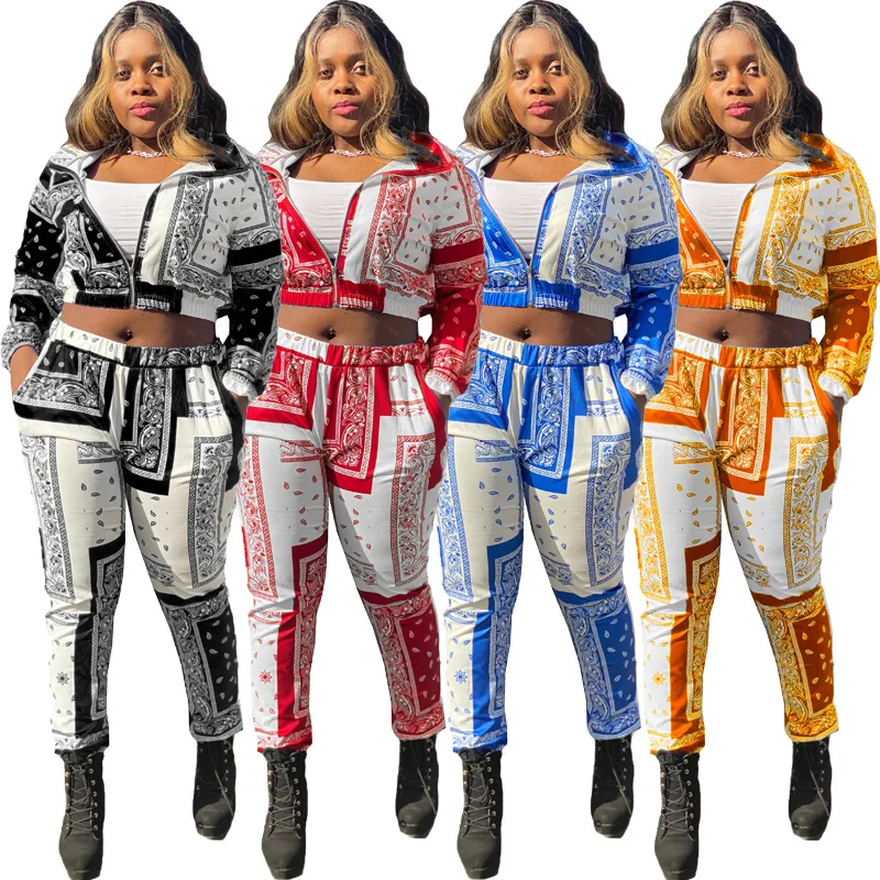 

2021 Fall Casual Print Long Sleeve 2 Piece Women Outfit Women Clothing Front Zipper Loose Design 2 Piece Pants Set with Pockets