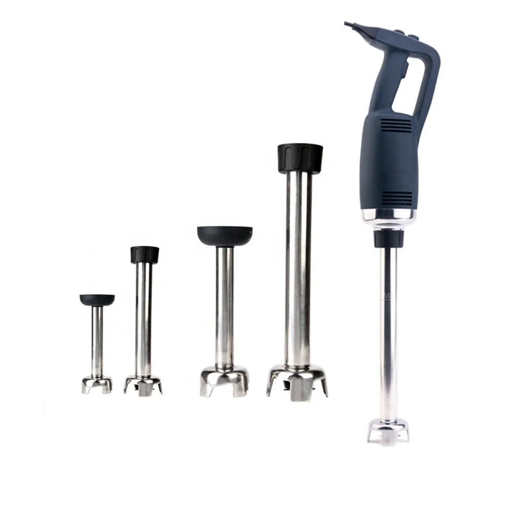 immersion blender01.jpg