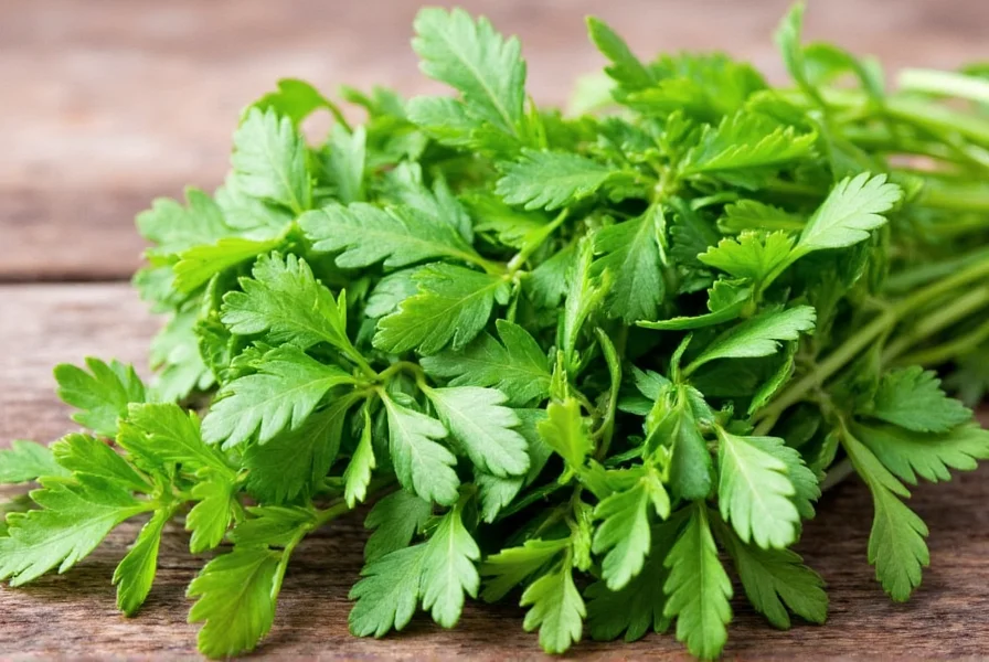 Various dishes garnished with parsley