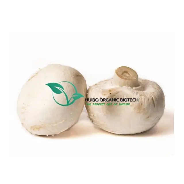 
Organic Agaricus bisporus slice / powder / salted white mushroom  (60703240594)