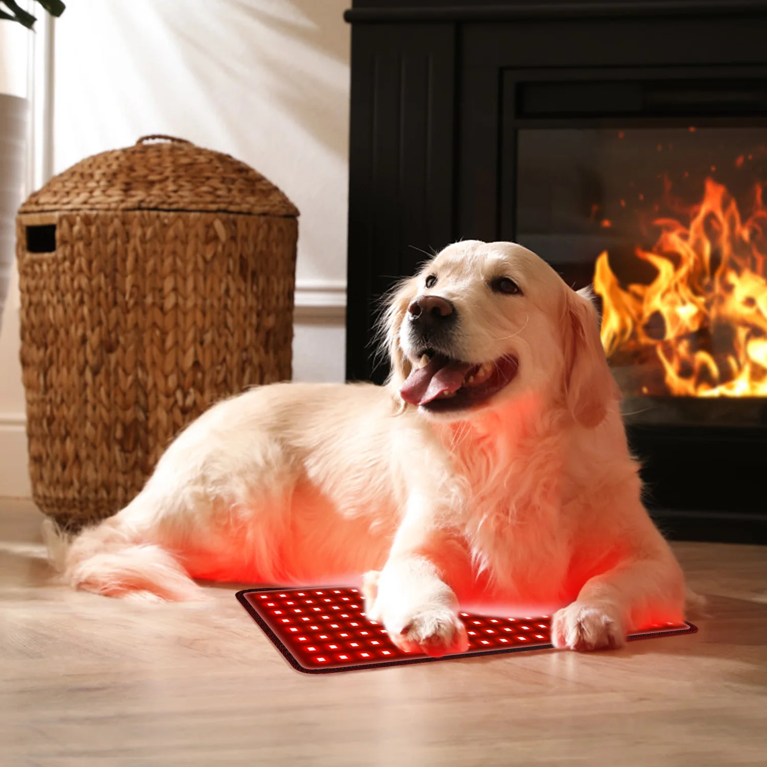 Trending Multifunctional Red Led Infra Red Light Therapy Horse Infrared Pet Lamp Therapy Pad for Home Use