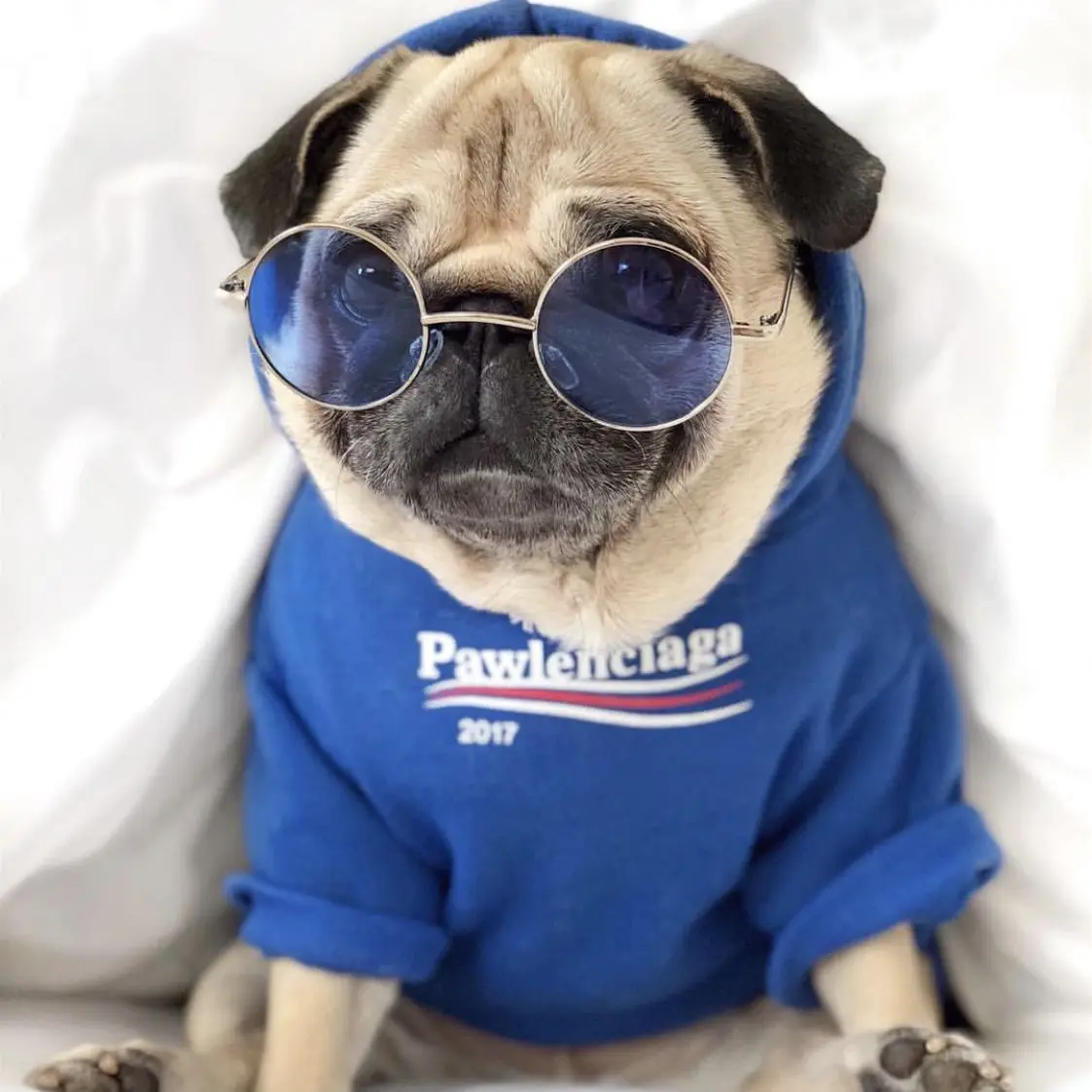 

Blue Dog Hooded Sweater Fashion Letter Pet Hooded Clothes warm autumn and winter dog clothing, Grey,navy blue