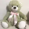 DF OEM ODM Light Green Teddy Bear With Shining Raw Materials
