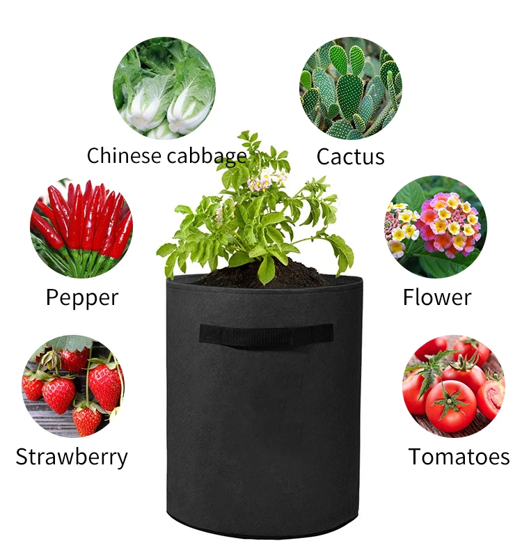 

Customized Indoor Outdoor Biodegradable Non Woven Black Green Tree Blueberries Veg Tomato Fabric Mushroom Plant Grow Bags, Black, green, yellow, and custom colors