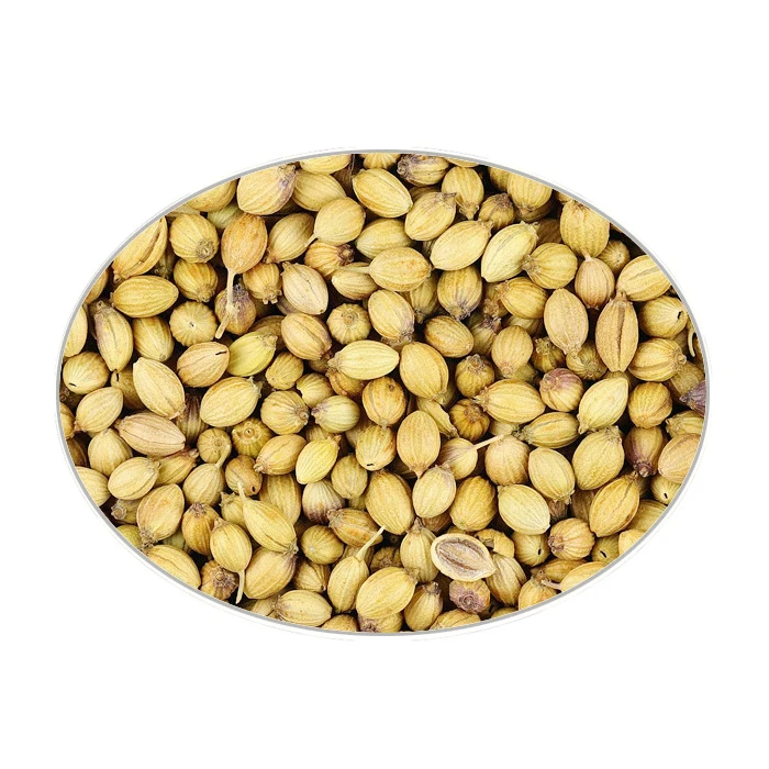
Bulk Coriander Seed In Best Wholesale Price 