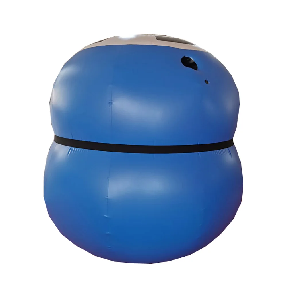 

New Shape blue pvc inflatable blueberry ball suit