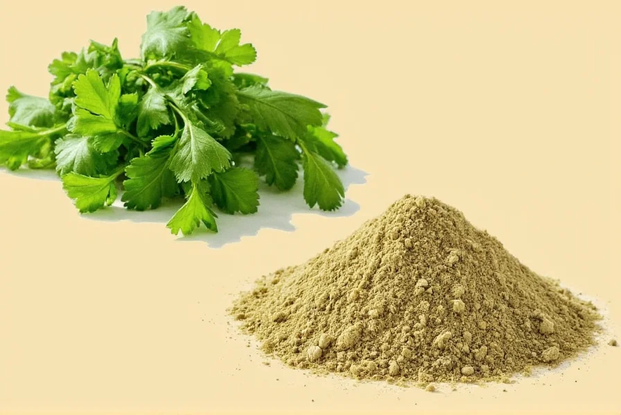 Best Substitutes for Coriander Powder: 7 Practical Alternatives