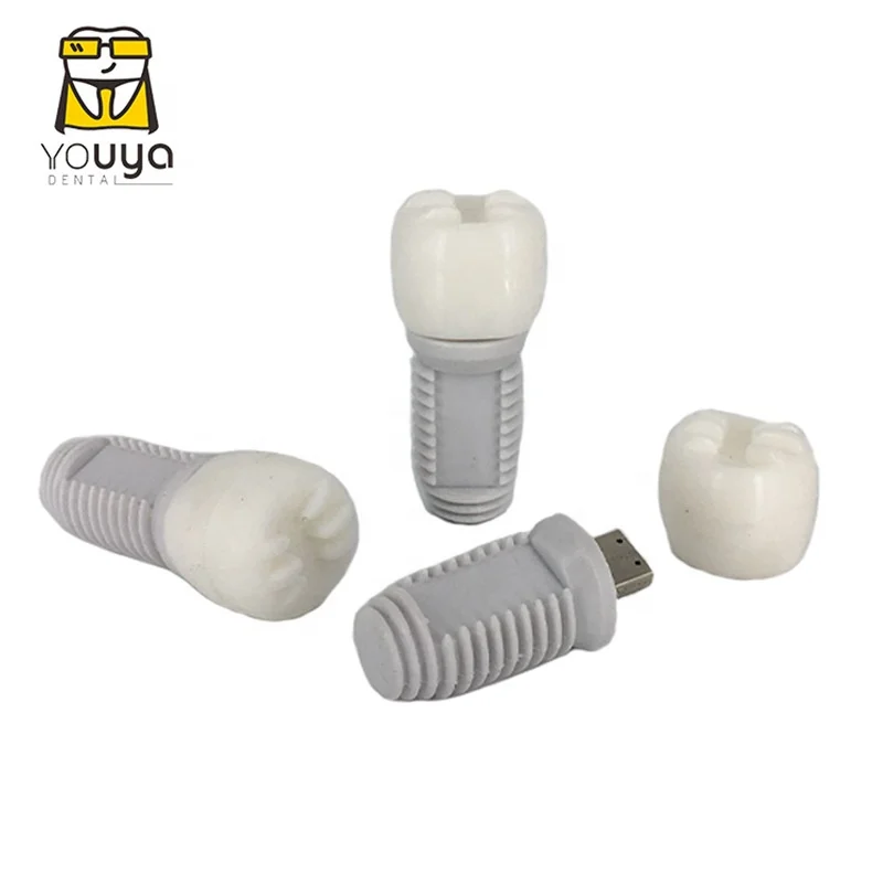 Best Selling PVC Material Tooth Shape 16GB USB Flash Drive For Dentist Gift - ANKUX.COM