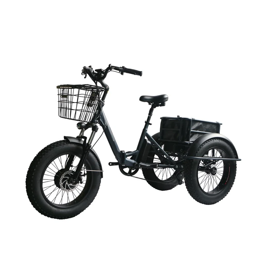 Full Suspension Fat Electric Three Wheel Trike E Bike Bicycle 250 Watt ...