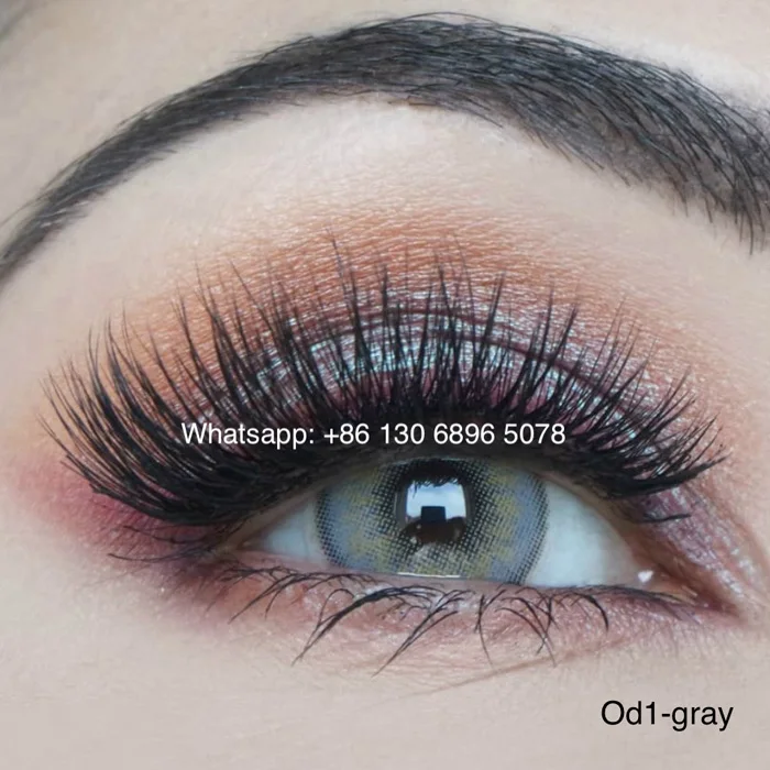 od1-Orlando gray.jpg