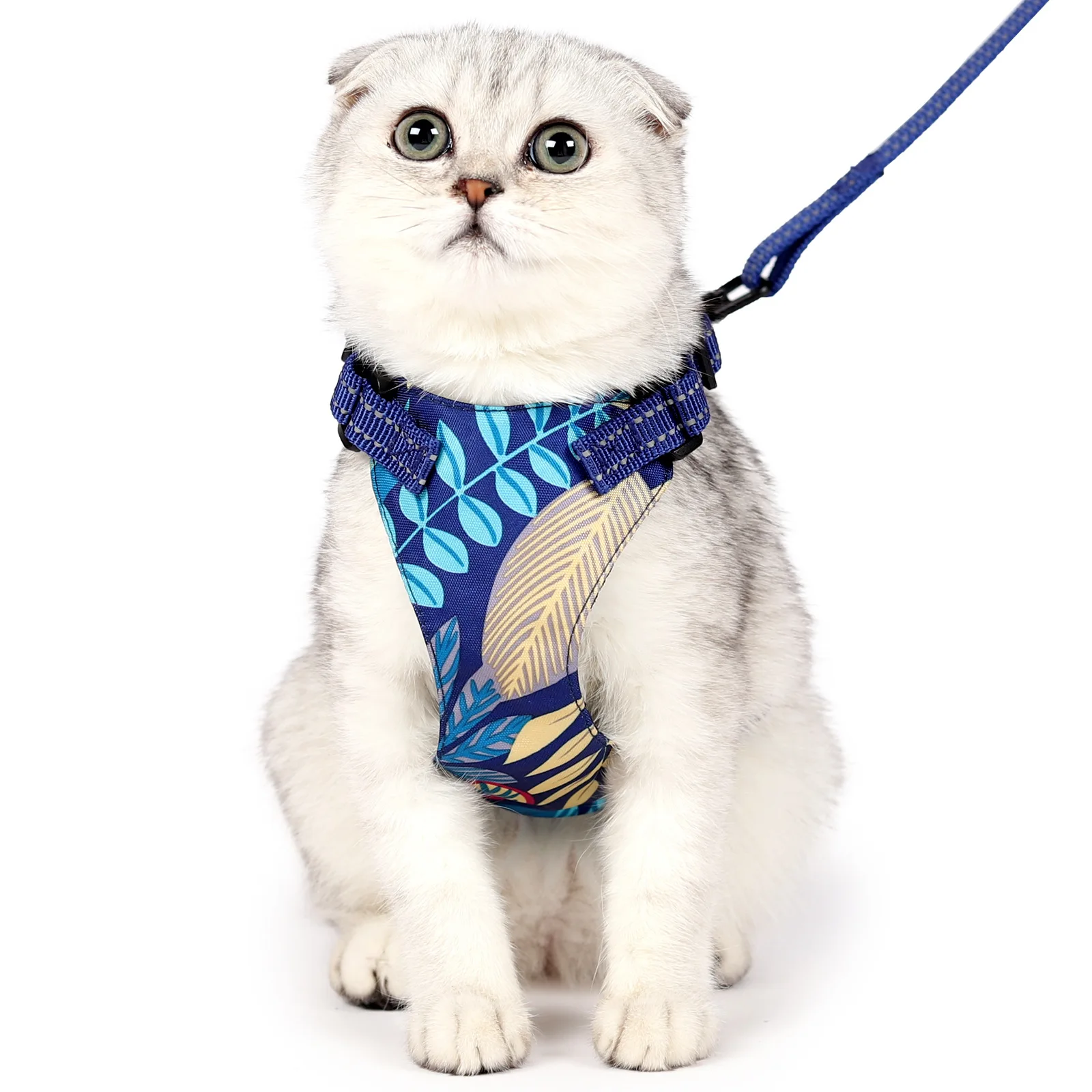 

New cat traction rope pet supplies pet harnesses cat chest harness set small and medium-sized pets cute cat rope accessories, 3 colours