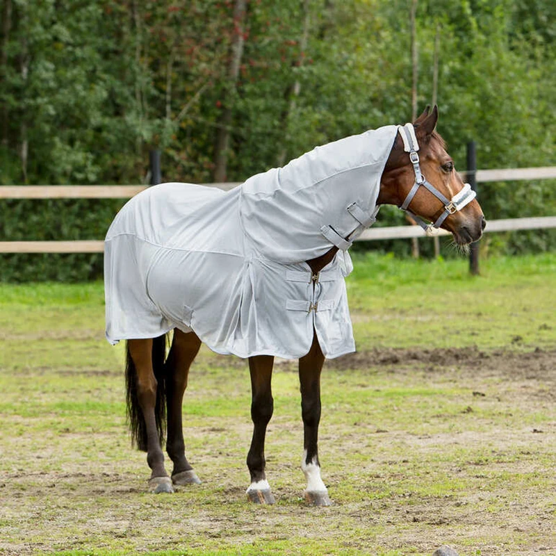 

Wholesale Equine Summer Combo Fly Rugs Equestrian Horse Fly Sheet Horse Riding Turnout Mesh Cooler Custom Horse Rug, Custom colors