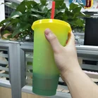 Reusable Color Changing Cold Cups Summer Magic Plastic Coffee tumbler With Straws Set of 5