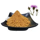 Best Milk Thistle Seed Extract Powder Chinese Silymarin Milk