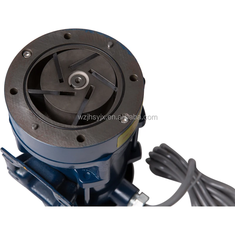 Oil Vapor Recovery Vacuum Pump,Fuel Station Pump,Vapor Recovery System