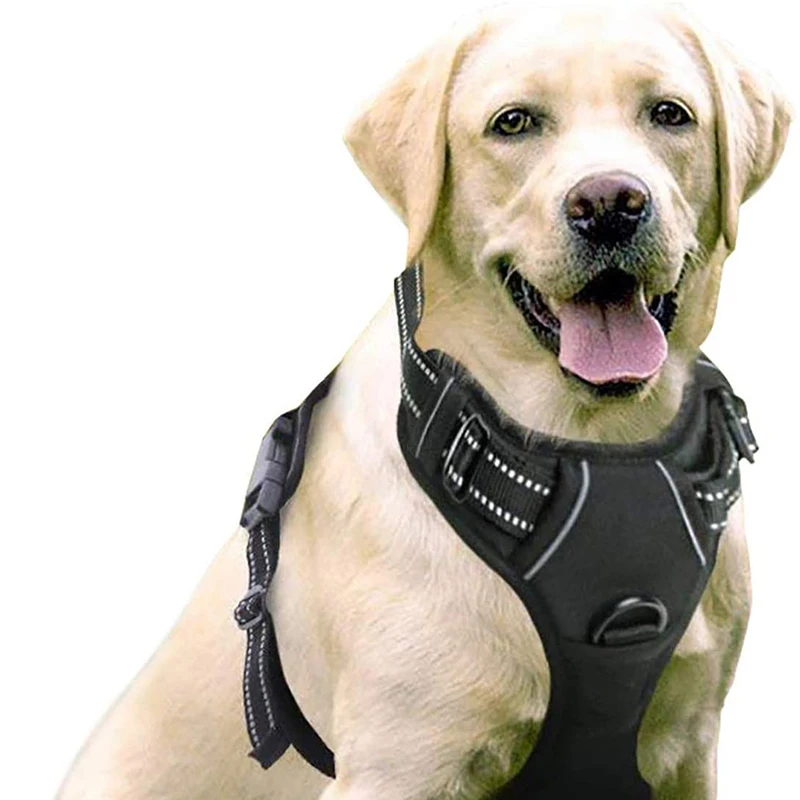 

Wholesale Custom Large Small Adjustable Dog Harness No-Pull No Pull Peted Leash Dog Harness Set for Dog