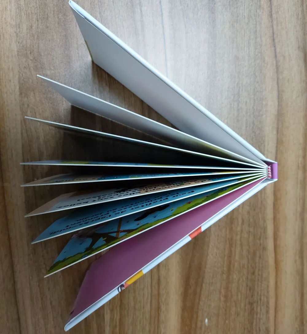 hardcover 13.jpg