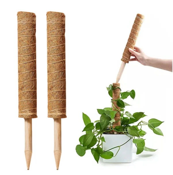 

High Quality 10 Inches - 40 Inches Moss Pole Coco Totem Stick Support Indoor Plants to Grow Upwards