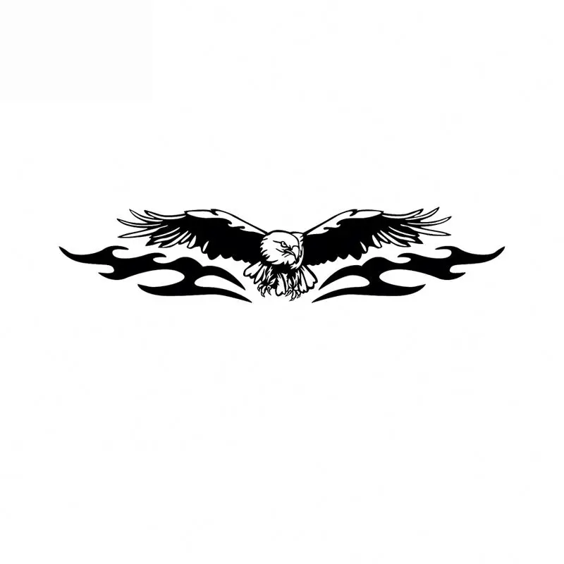 Fashion American Eagle Full Wi