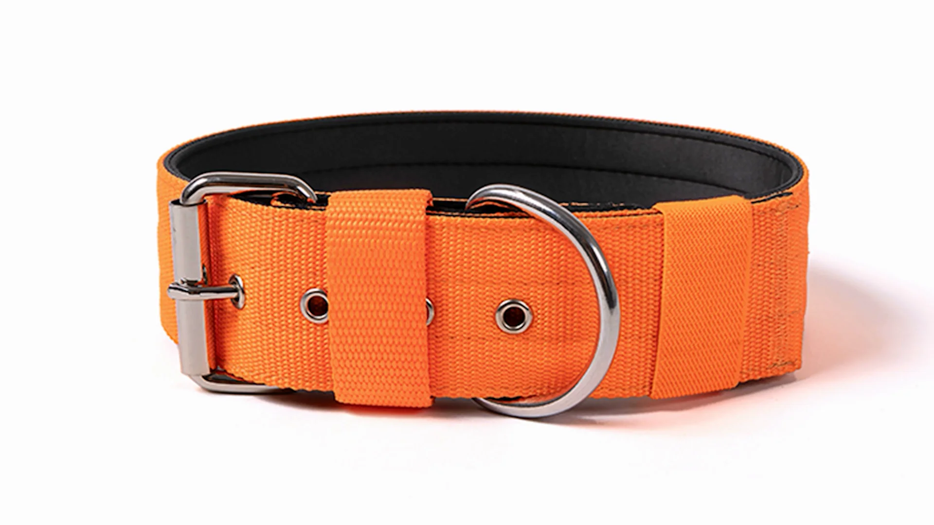 2 Inch Durable Nylon bing Double Pin Buckle Dog Collar With Handle