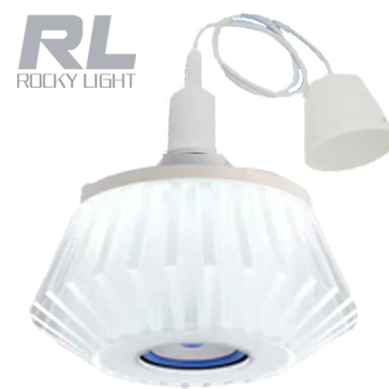 
Bluetooth Music Light 