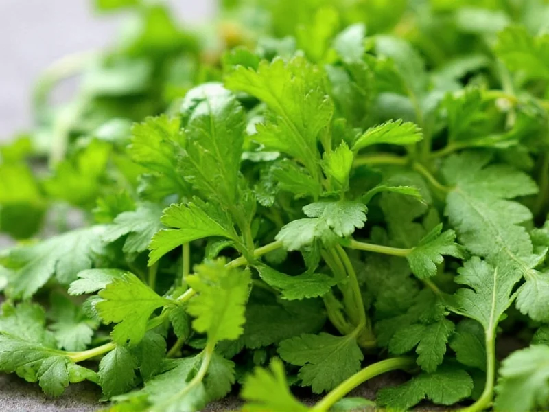 Fresh Coriander vs Cilantro: Same Herb, Different Names