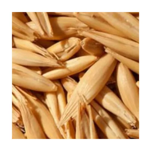 
Russian Food / Feed Oats Grains 