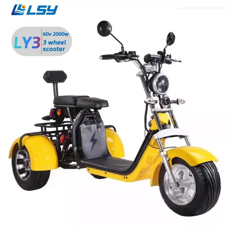 

Factory price newest LSY Adult 3 wheel motorcycle 60V 12A 2000w scoote tricycle electric scooters